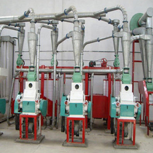 Flour Mill Plant Projects
